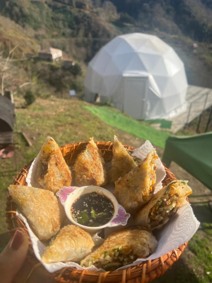 Mtirala Glamping Hotel Chakvistavi Eksteriør billede