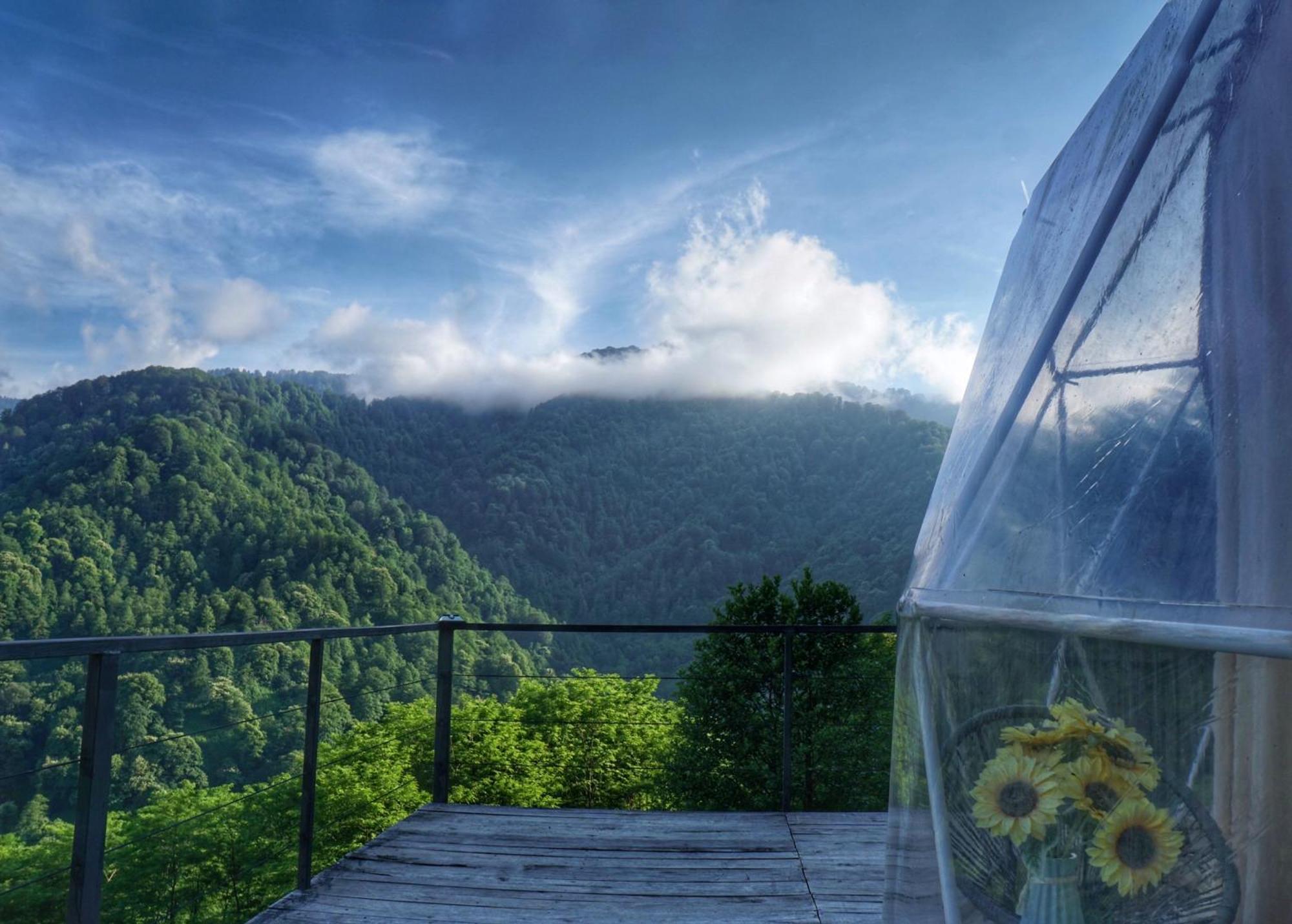 Mtirala Glamping Hotel Chakvistavi Eksteriør billede