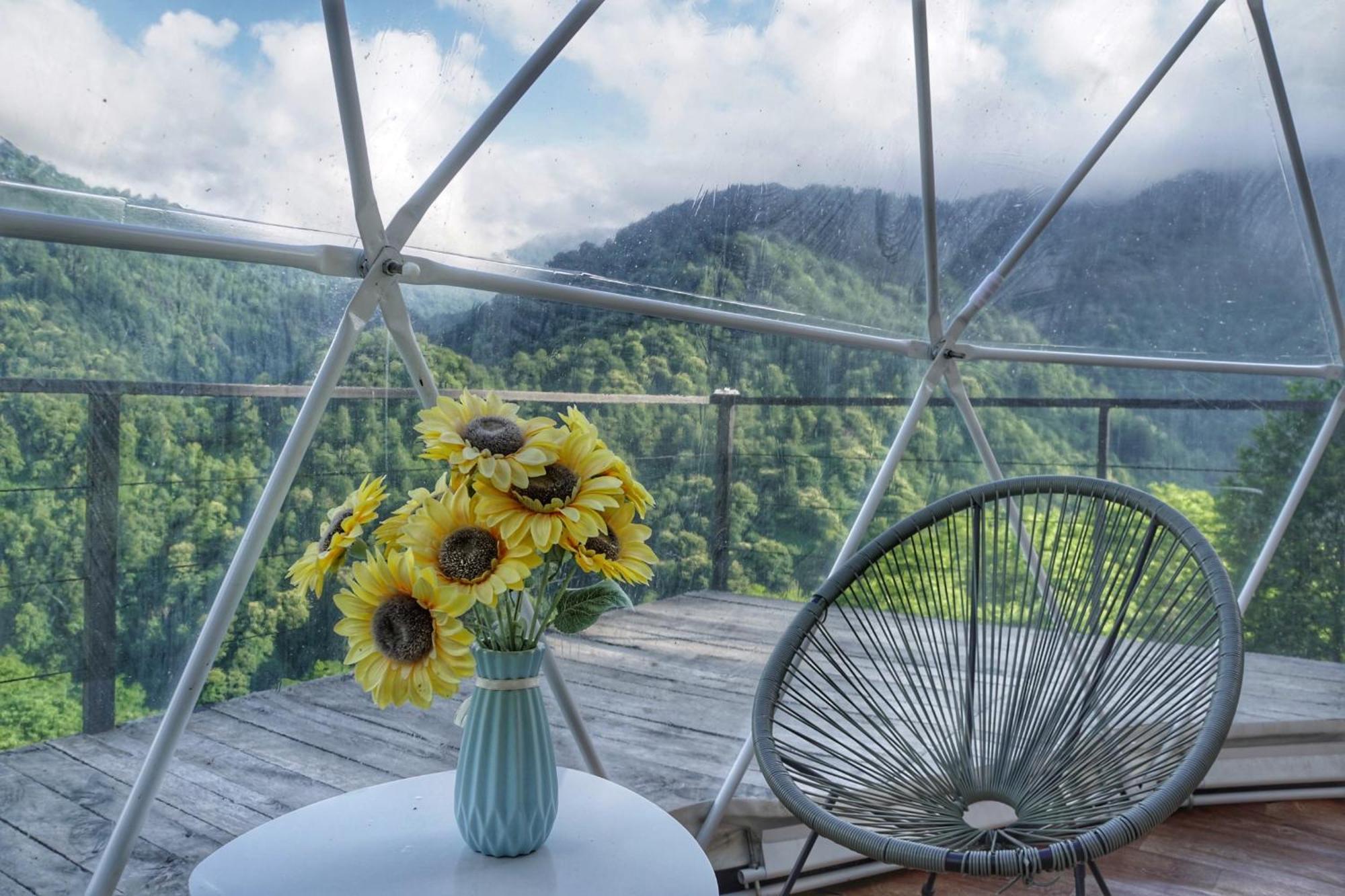 Mtirala Glamping Hotel Chakvistavi Eksteriør billede